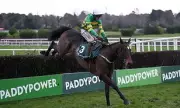 Cheltenham Festival Strategy: Mullins' Secrecy and Grade Debate