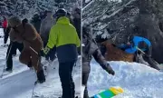 Chewbacca Skier Beaten in French Alps Brawl After Snowball Attack