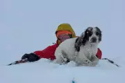 Cocker Spaniel Survives Freezing Night on Highland Mountain After Snow Ledge Fall