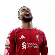 Cody Gakpo's Liverpool Future in Doubt as Former Coach Hints at Transfer