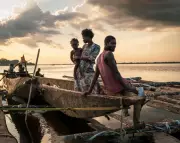 Congo River's Perilous Journey: Timber Trade Threatens Vital Rainforest