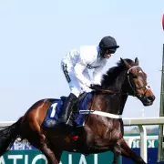 Constitution Hill Triumphs in Flat Debut at Southwell After Jumping Setback