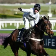 Constitution Hill's Flat Debut: A Tactical Move for Cheltenham Glory