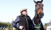 Constitution Hill's Intensive Schooling Fuels Champion Hurdle Ambition