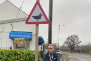 Councillor Slams £7,000 Duck Crossing Sign as 'Ridiculous' Waste of Money
