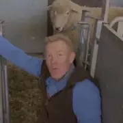 Countryfile's Adam Henson Swears After Painful Sheep Blunder