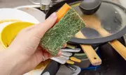Daily Kitchen Sponge Changes Urged by Microbiology Expert After Study
