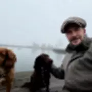 David Beckham's Solo Dog Walk Amid Brooklyn's Explosive Family Claims