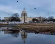 Democrats to Boycott Trump's State of the Union in Protest