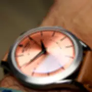 Detrash McQ: Salmon Watch Offers Patek Philippe Style at 1% of the Price