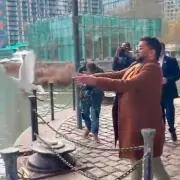 Doves Released at 30th Anniversary of IRA Docklands Bomb Memorial Service