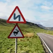 Driving Examiner Reveals Simple Trick to Remember Confusing Hill Warning Sign