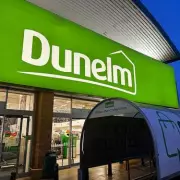 Dunelm's £25 Artificial Hanging Basket Transforms Front Gardens with 'Lifelike' Charm