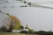 Dutch Water Experts Could End Britain's Endless Flooding Cycle