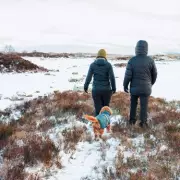 DWP Cold Weather Payments: £35 Million Distributed to 1.5 Million Households