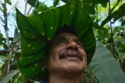 Ecuadorian Family's Solitary Mission to Save Amazon's Endangered Plants