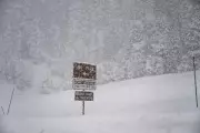 Eight Skiers Found Dead in California Avalanche, Search Continues for One