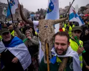 EU Subsidies Favour Beef and Lamb Over Legumes, Study Reveals