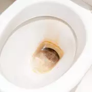 Expert Cleaner Reveals 10-Second Toilet Task for Germ-Free Bathrooms