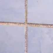 Expert's 10-Second Grout Cleaning Hack Uses One Natural Ingredient