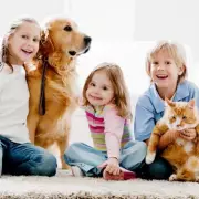 Family Dogs Create Unique Indoor Air Environment That May Benefit Children's Health
