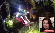 Father's Frantic 911 Call After Plane Crash With Daughter in Florida Woods