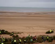 Festive Firs Fortify Fylde Coast: 2,000 Christmas Trees Reused for Sand Dunes