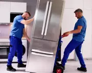 Fridge Delivery Fiasco: A Week of Whitegoods Woes and Broken Promises