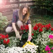 Gardeners Can Add Summer Colour with 58p Lobelia Bedding Flowers