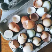 Gardeners Reveal Egg Carton Potato Trick for February Planting