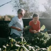 Gardening Expert's Simple January Trick to Protect Vegetable Beds from Winter Chill