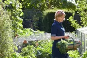 Gardening's Healing Power: Five Spring Tasks to Boost Mental Wellbeing