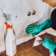 German 'Shock Ventilation' Hack Fights UK Damp and Mould for Free