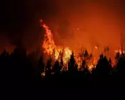 Global Lens: From Vigils to Protests, Monday's Most Striking Images