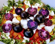 GM Purple Bliss Tomatoes Approved for Sale in Australia