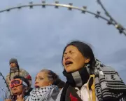 Greenpeace Activists Arrested in Dakota Access Pipeline Protest