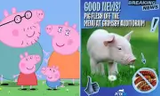 Grimsby Theatre Pulls Pork Products During Peppa Pig Show After PETA Pressure