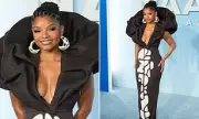 Halle Bailey Stuns at NAACP Image Awards in 1960s-Inspired Gown