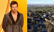 Harry Styles' Hampstead Mega-Mansion Delayed by Dangerous Invasive Weeds