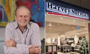 Harvey Norman to Deploy Robot Greeters in Stores Within Two Years