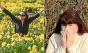 Hay Fever Surge as UK Warmth Sparks Pollen Explosion and Spring Bloom