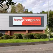 Home Bargains' £2 Metal Flower Stakes Add Spring Charm to Gardens