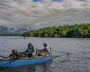 How Brazil's Fishers Are Reviving Rio's Polluted Bay Through Mangrove Restoration