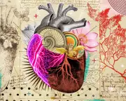 How Leonardo da Vinci's Drawings Transformed a Heart Surgeon's Career