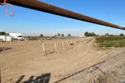 Idaho Families Sue Over Aggressive Immigration Raid at Horse Racing Track