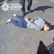 Inmate's Affairs with Prison Staff Lead to Daring Hospital Escape in Woman's Car