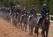 Irish Dominance Threatens British Stables at Cheltenham Festival