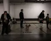 Israelis Unite in Support for Second Iran War Amid Air Raid Sirens