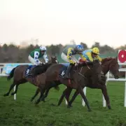 Jockey's Costly Mistake: Premature Celebration Gifts Leopardstown Race to Rival