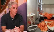 Justice Department Files Reveal Epstein Death Statement Dated Day Before Official Discovery